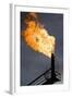 Natural Gas Flare-null-Framed Photographic Print