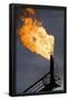 Essential Black