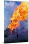 Natural Gas Well Burning after Explosion-null-Mounted Photographic Print