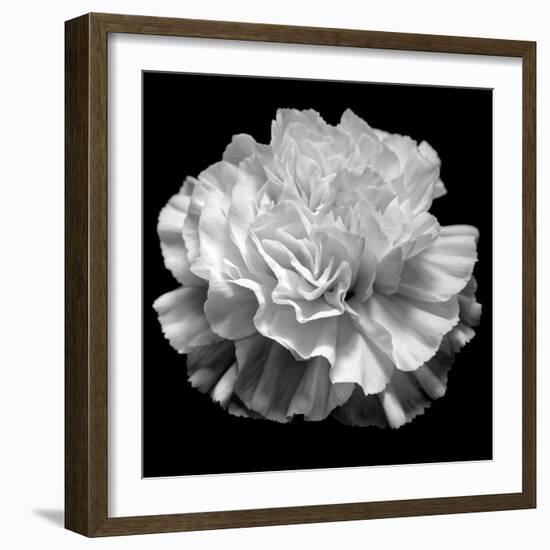 natural geometry II photography-Alex Caminker-Framed Photographic Print