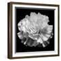 natural geometry II photography-Alex Caminker-Framed Photographic Print