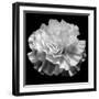 natural geometry II photography-Alex Caminker-Framed Photographic Print