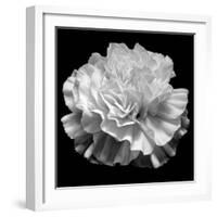 natural geometry II photography-Alex Caminker-Framed Photographic Print