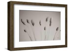 Natural Grasses-Nathan Larson-Framed Photographic Print