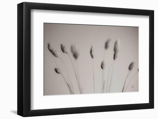 Natural Grasses-Nathan Larson-Framed Photographic Print