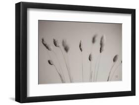 Natural Grasses-Nathan Larson-Framed Photographic Print