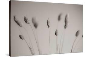 Natural Grasses-Nathan Larson-Stretched Canvas