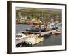 Natural Harbour, Dingle,Dingle Peninsula, County Kerry, Munster, Republic of Ireland-Pearl Bucknall-Framed Photographic Print