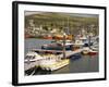 Natural Harbour, Dingle,Dingle Peninsula, County Kerry, Munster, Republic of Ireland-Pearl Bucknall-Framed Photographic Print