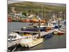 Natural Harbour, Dingle,Dingle Peninsula, County Kerry, Munster, Republic of Ireland-Pearl Bucknall-Mounted Photographic Print