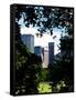 Natural Heart Formed by Trees Overlooking Buildings, Central Park in Summer, Manhattan, New York-Philippe Hugonnard-Framed Stretched Canvas