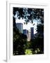 Natural Heart Formed by Trees Overlooking Buildings, Central Park in Summer, Manhattan, New York-Philippe Hugonnard-Framed Photographic Print