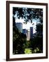 Natural Heart Formed by Trees Overlooking Buildings, Central Park in Summer, Manhattan, New York-Philippe Hugonnard-Framed Photographic Print