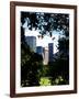 Natural Heart Formed by Trees Overlooking Buildings, Central Park in Summer, Manhattan, New York-Philippe Hugonnard-Framed Photographic Print