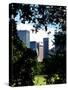 Natural Heart Formed by Trees Overlooking Buildings, Central Park in Summer, Manhattan, New York-Philippe Hugonnard-Stretched Canvas