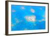 Natural Heart Shaped Coral Island in Great Barrier Reef near Cairns, Australia Seen from Above-dzain-Framed Photographic Print