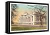 Natural History Building, Washington D.C.-null-Framed Stretched Canvas