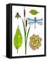 Natural History by the Pond-Blenda Tyvoll-Framed Stretched Canvas