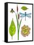 Natural History by the Pond-Blenda Tyvoll-Framed Stretched Canvas