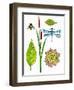 Natural History by the Pond-Blenda Tyvoll-Framed Art Print