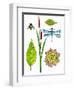 Natural History by the Pond-Blenda Tyvoll-Framed Art Print