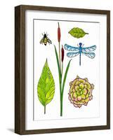 Natural History by the Pond-Blenda Tyvoll-Framed Art Print