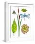 Natural History by the Pond-Blenda Tyvoll-Framed Art Print