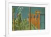 Natural History, c.1923-Max Ernst-Framed Art Print