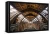 Natural History Museum I-Giuseppe Torre-Framed Stretched Canvas