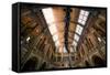 Natural History Museum II-Giuseppe Torre-Framed Stretched Canvas