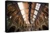 Natural History Museum II-Giuseppe Torre-Stretched Canvas