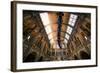 Natural History Museum II-Giuseppe Torre-Framed Photographic Print