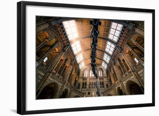 Natural History Museum II-Giuseppe Torre-Framed Photographic Print