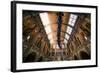 Natural History Museum II-Giuseppe Torre-Framed Photographic Print