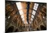 Natural History Museum II-Giuseppe Torre-Mounted Photographic Print