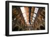 Natural History Museum II-Giuseppe Torre-Framed Photographic Print
