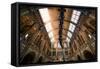 Natural History Museum II-Giuseppe Torre-Framed Stretched Canvas