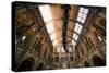 Natural History Museum II-Giuseppe Torre-Stretched Canvas