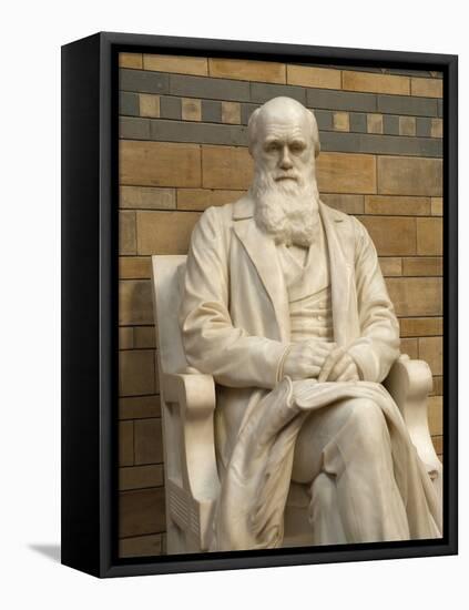 Natural History Museum, London, United Kingdom, England-Inger Hogstrom-Framed Stretched Canvas