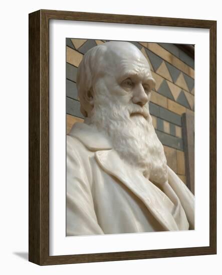 Natural History Museum, London, United Kingdom, England-Inger Hogstrom-Framed Photographic Print