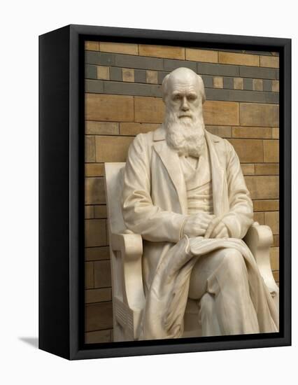 Natural History Museum, London, United Kingdom, England-Inger Hogstrom-Framed Stretched Canvas