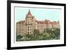 Natural History Museum, New York City-null-Framed Art Print