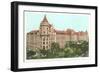 Natural History Museum, New York City-null-Framed Art Print