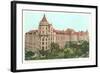 Natural History Museum, New York City-null-Framed Art Print