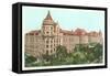 Natural History Museum, New York City-null-Framed Stretched Canvas