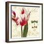 Natural History Sketchbook I-Tina Lavoie-Framed Giclee Print