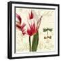 Natural History Sketchbook I-Tina Lavoie-Framed Giclee Print