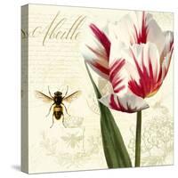 Natural History Sketchbook II-Tina Lavoie-Stretched Canvas