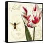 Natural History Sketchbook II-Tina Lavoie-Framed Stretched Canvas