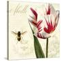 Natural History Sketchbook II-Tina Lavoie-Stretched Canvas